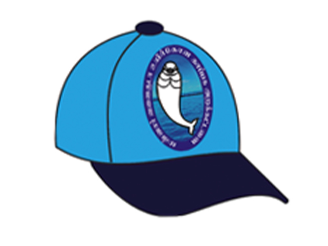 Nisha Advertising Caps